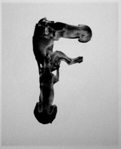 Image description is not available for 2001.064